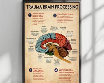 Trauma Brain Processing Poster, Brain Anatomy Poster Brain Zones Mental Health Wall Art, Trauma, Fight or Flight, Nervous System, Unframed