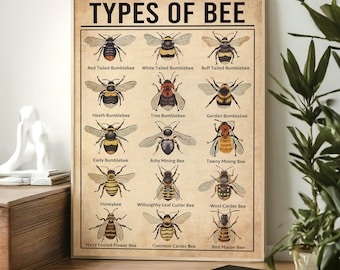 All About Bee, Vintage Knowledge Poster, Types Of Bees Vintage Poster, Bee Lover Gift,  Knowledge Art, Home Wall Art, Education Wall Decor