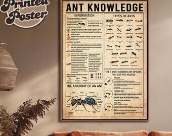 Ant Knowledge Poster, Types Of Ants Vintage Poster, Ant Lover Gift, Gift For Animal Lovers, Science Classroom wall art, Animal poster