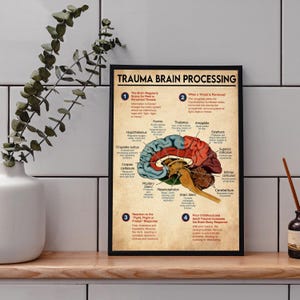 Trauma Brain Processing Poster, Brain Anatomy Poster Brain Zones Mental Health Wall Art, Trauma, Fight or Flight, Nervous System, Unframed image 3