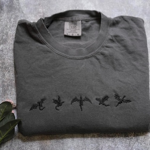 Fourth Wing Shirt, Basgiath War College t-shirt, Violet Sorrengail, Bookish Shirt, Xaden Riorson, Gifts For Readers, Fantasy Book Dragon