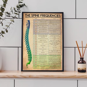 Vintage Spine frequencies Poster, Spinal Cord Anatomy Print unframed, Chiropractic, Chiropractic Decor,Physical Therapist, Chiropractor Gift