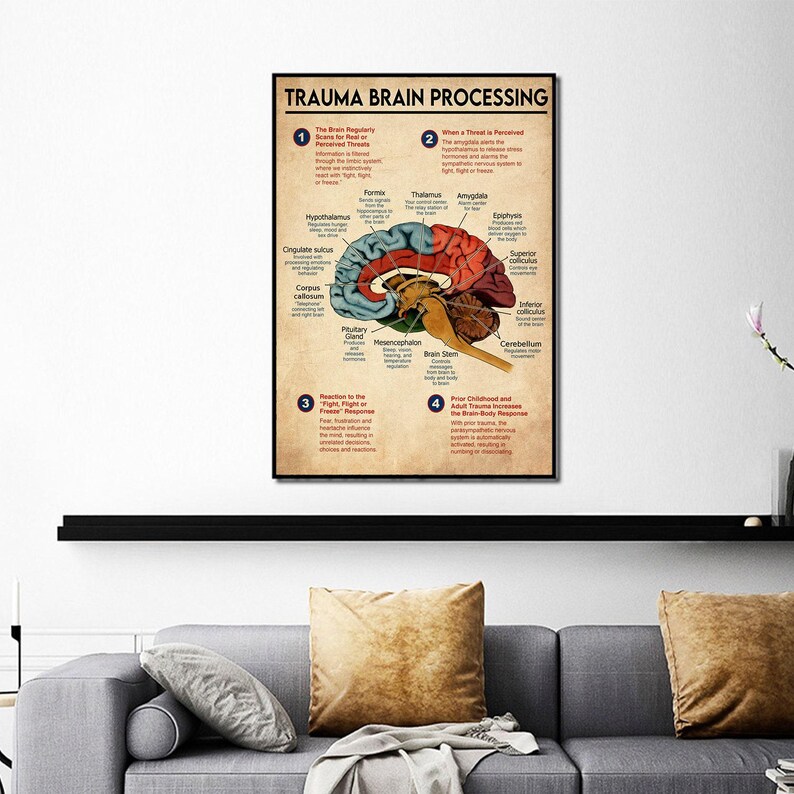 Trauma Brain Processing Poster, Brain Anatomy Poster Brain Zones Mental Health Wall Art, Trauma, Fight or Flight, Nervous System, Unframed image 7