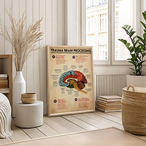 a poster of the human brain with various labels and illustrations, placed on a wooden floor in a living room setting with a window and plants.