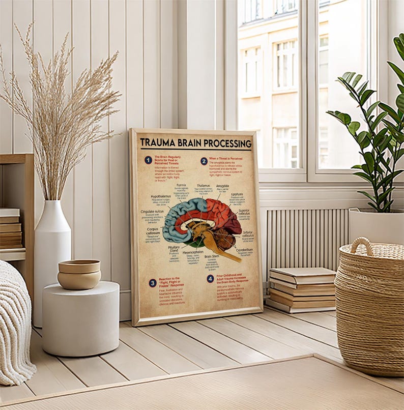 a poster of the human brain with various labels and illustrations, placed on a wooden floor in a living room setting with a window and plants.