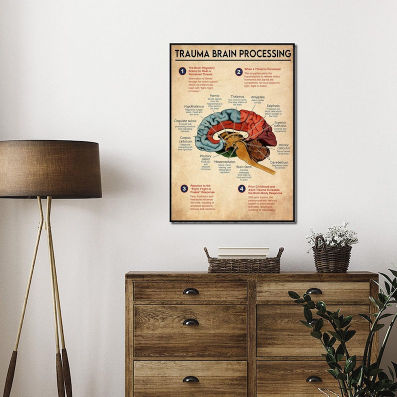 Trauma Brain Processing Poster, Brain Anatomy Poster Brain Zones Mental Health Wall Art, Trauma, Fight or Flight, Nervous System, Unframed image 5