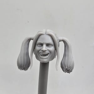 Custom 3d Printed Classified Legends Compatible Comic Multiverse Bat Man Bat Vigilante Harleen Quinzel Harley Jester  Heads 1/12 1-10 Scale