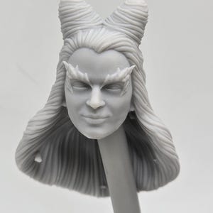 Custom 3d Printed Compatible Classified Legends Comic Multiverse Rogues Gallery Poison Plant Lady Heads 1/12 1-10 Scale Custom Fodder