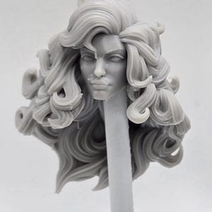 Custom 3d Printed Compatible Classified Legends Comic Multiverse Rogues Gallery Poison Plant Lady Heads 1/12 1-10 Scale Custom Fodder