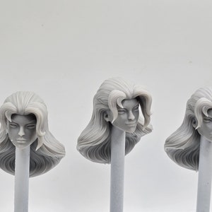 Custom 3d Printed Compatible Classified Legends Comic Multiverse Hawk girl Shierea Sanders Hall Heads 1/12 1-10 Scale