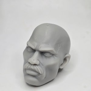 Custom 3d Printed  Classified Legends Compatible Comic Multiverses Invincible Viltrumites Lucan Heads 1/12 1-10 Scale Fodder