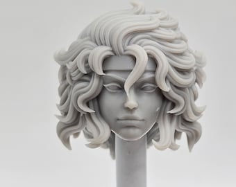 Benutzerdefinierte 3D gedruckte Klassifizierte Legenden Kompatibel Comic Multiverse Mutant-Männer Schurke Kopf 1/12 1-10 Skala Kabel