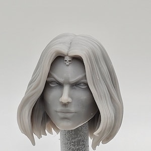 Custom 3d Printed Classified Legends Compatible Comic Multiversee Mutant-men Mystique Head 1/12 1-10 Scale Custom Fodder