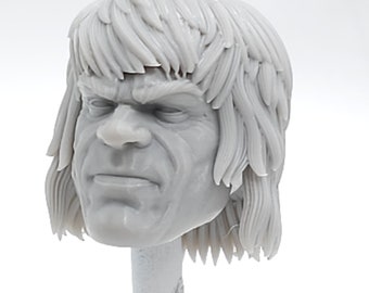 Custom 3d Printed Classified Legends Compatible Comic Multiverse Lou Ferigno Angry Green man Normal Head 1/12 1-10 Scale Custom Fodder