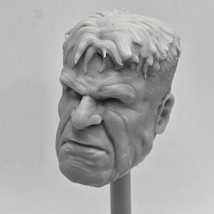 Leyendas clasificadas impresas en 3D personalizadas compatibles con cómics multiversos, seleccione Harrison Ross, hombre rojo enojado, cabeza fruncida, escala 1/12 1-10