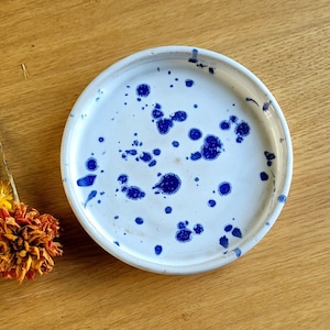 Assiette en céramique blanche et bleue