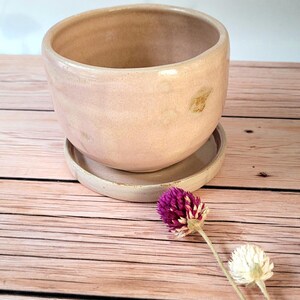 Peut inclure: Un pot de fleurs en céramique rose clair avec une soucoupe assortie. Le pot a une forme arrondie et une finition lisse et brillante. Une fleur violette séchée et une fleur blanche sont placées près du pot sur une surface en bois. Le pot convient aux plantes d'intérieur.