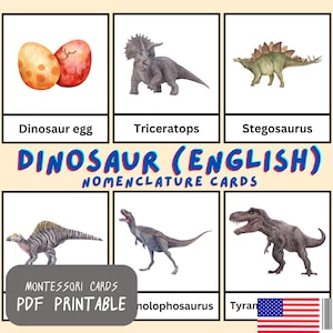 Dinosaurier Karteikarten in englisch | 14 Montessori Karten | 3 Teilige Karten Nomenklaturkarten | Druckbare PDF Karten | Montessori Lernspielzeug