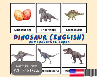 Dinosaur Montessori Cards: Nomenclature 3-Part Cards (Printable PDF)