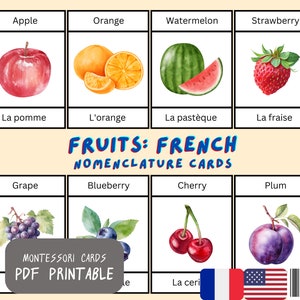Fruits Flash Cards in Französisch & Englisch Zweisprachig | 29 Montessori Karten | 3 Teilige Karten Nomenklatur Karten | Druckbare PDF Karten