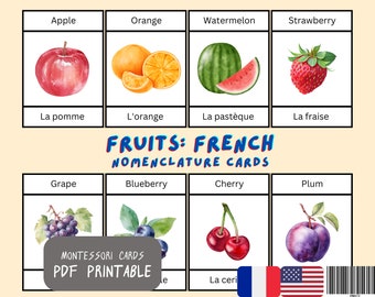 Fruits Flash Cards in Französisch & Englisch Zweisprachig | 29 Montessori Karten | 3 Teilige Karten Nomenklatur Karten | Druckbare PDF Karten