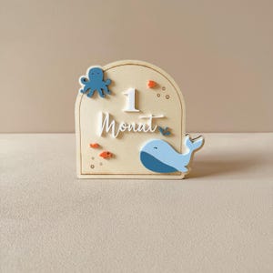 Cartes d'étape bébé - ma première année - cartes d'étape personnalisées cadeau mémoire bébé naissance baptême baleine acrylique faite à la main
