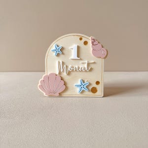 Cartes d'étape bébé - ma première année - cartes d'étape personnalisées cadeau mémoire bébé naissance baptême coque acrylique fait main