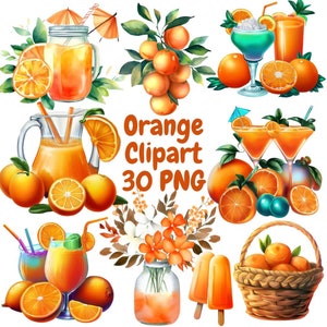 Orange Summer Clipart, Citrus clipart, Vintage Orange Illustration, Citrus Botanical Fruit Clip Art, Citrus Fruit Graphic invitation, cutie
