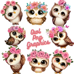 Eule Clipart, süße Eule Png, Aquarell Eule, Eule PNG, Eule Clipart, Eulen Kunst, Tiara Eule, Vögel, kommerzielle Nutzung, süße Vögel png, digitaler Download