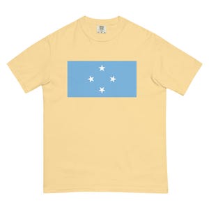 Micronesia Flag Shirt | Stylish Patriotic T-Shirt | Micronesian Heritage Tee | Cultural Flag Design Gift | Unique Micronesia Souvenir Tee