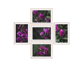 THE SWEETEST PEA Collection | Sweet Pea, Sweet Pea Flower, Purple Flower, Flower, Botanical, Nature Photography, Set of 5 Flower Photographs