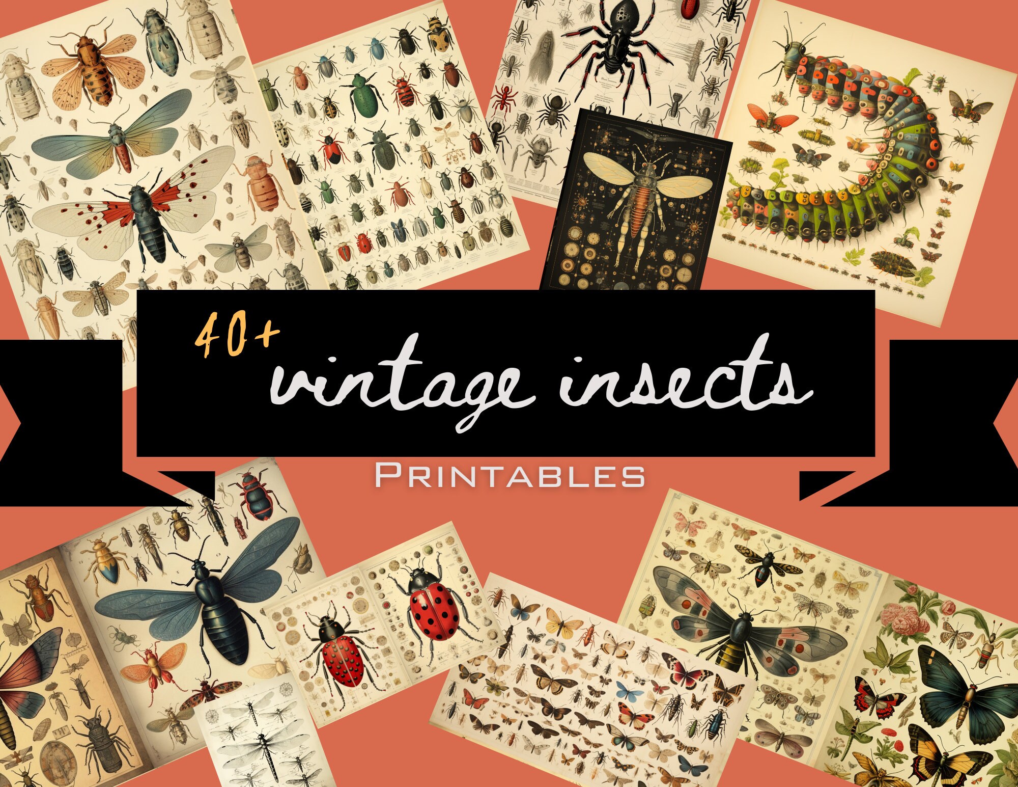 Vintage Insects Printables - Etsy