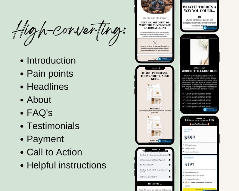 May include: A screenshot of a website with a list of elements that contribute to a high-converting website. The list includes: Introduction, Pain points, Headlines, About, FAQ's, Testimonials, Payment, Call to Action, and Helpful instructions. The website also includes a section with pricing information for a product or service.