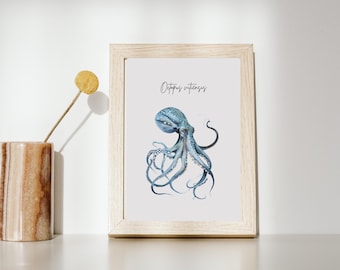 Minimalist Octopus Poster | Digital Octopus Picture | Octopus vitensis Scientific Name Print | Ocean Animal Decor - Home, Office, Bathroom