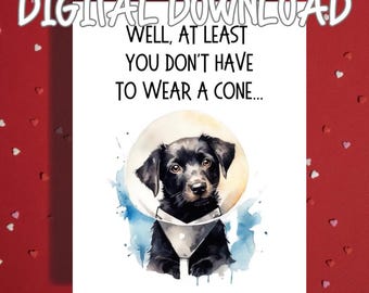 Funny Dog Get Well Printable Card, At Least You Dont Have to Wear a Cone, Digital Download Recovery Humor