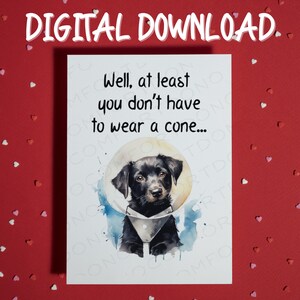 Gute Besserung Grußkarte • Ermutigungsgeschenk • Druckbare Karte • Digitaler Download • Geschenk für Freund • Dickdarmarzt Geschenk • Geschenk • Heilung