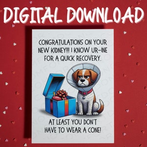 Geschenk für ihn ihre Freundin Herzlichen Glückwunsch zu Ihrer neuen Niere Digital Download druckbare Karte gut fühlen sich besser Krankenhaus Karte medizinisches Geschenk