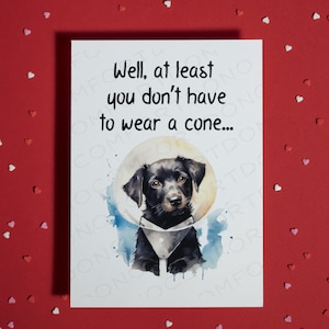 Gute Besserung Karte • Blanko Grußkarte • Freundschaft Geschenk • Ermutigung Geschenk • Humorvolle Karte • Heilung • Doppelpunkt Doktor Geschenk • Hunde Liebhaber
