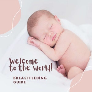 Breastfeeding Guide