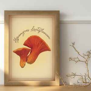 Cartel de setas de langosta, vintage, decoración del hogar, imprimible, descargable, serie de setas, Hongos