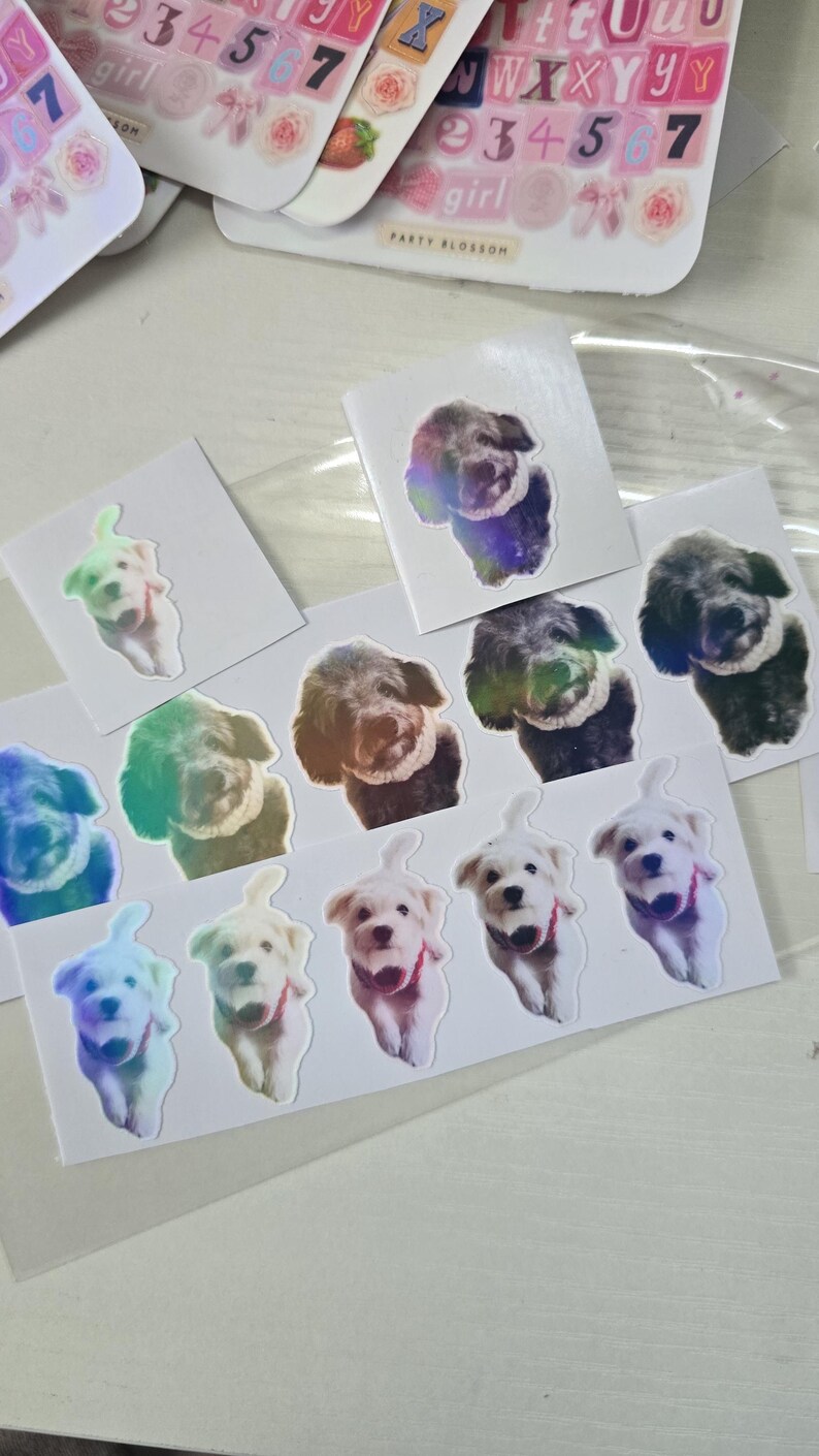 Personalized Pet Sticker | Premium Waterproof I Tiny Size to Bigger ...