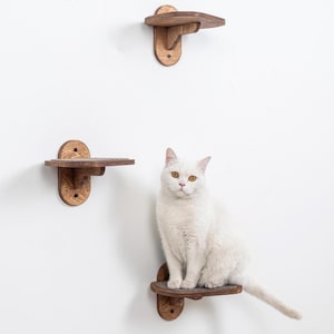 May include: Three wooden cat shelves in varying sizes are mounted on a white wall. A white cat with yellow eyes sits on the lowest shelf. The shelves are made of stained wood and have a simple, functional design.