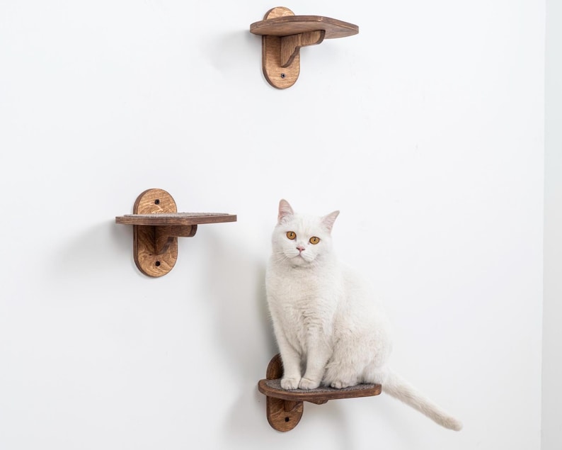 May include: Three wooden cat shelves in varying sizes are mounted on a white wall. A white cat with yellow eyes sits on the lowest shelf. The shelves are made of stained wood and have a simple, functional design.