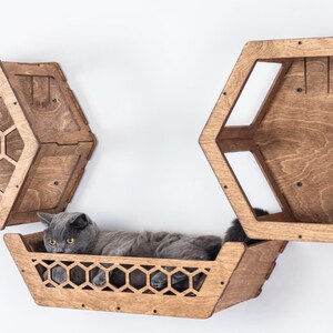 May include: Three wooden cat shelves in a honeycomb design are mounted on a white wall. A gray cat rests in the bottom shelf. The shelves are made of stained wood and have geometric cutouts.