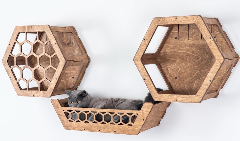 May include: Three wooden cat shelves in a honeycomb design are mounted on a white wall. A gray cat rests in the bottom shelf. The shelves are made of stained wood and have geometric cutouts.