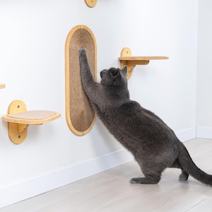 May include: A gray cat reaching towards a wall-mounted cat scratcher. The scratcher is oval-shaped with a woven sisal surface and a wooden frame. Additional wooden cat shelves are mounted on the wall. The cat is interacting with the scratcher.