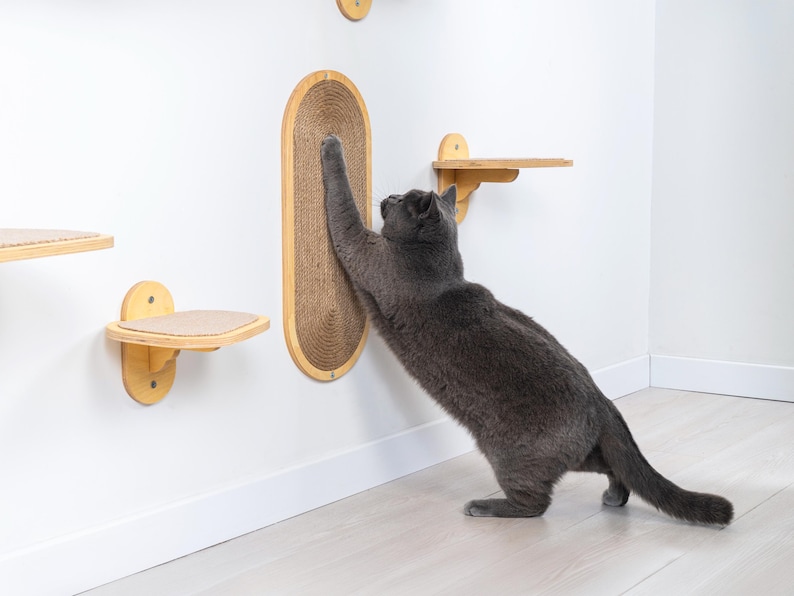 May include: A gray cat reaching towards a wall-mounted cat scratcher. The scratcher is oval-shaped with a woven sisal surface and a wooden frame. Additional wooden cat shelves are mounted on the wall. The cat is interacting with the scratcher.