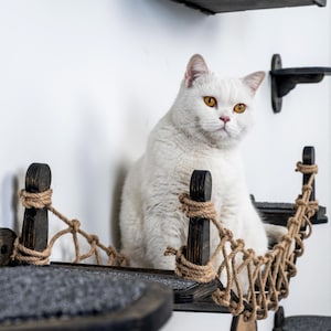 May include: A white cat with yellow eyes sits on a dark wooden cat bridge with rope detailing. The cat bridge is part of a wall-mounted cat furniture set. Additional dark wooden shelves are visible on the white wall.