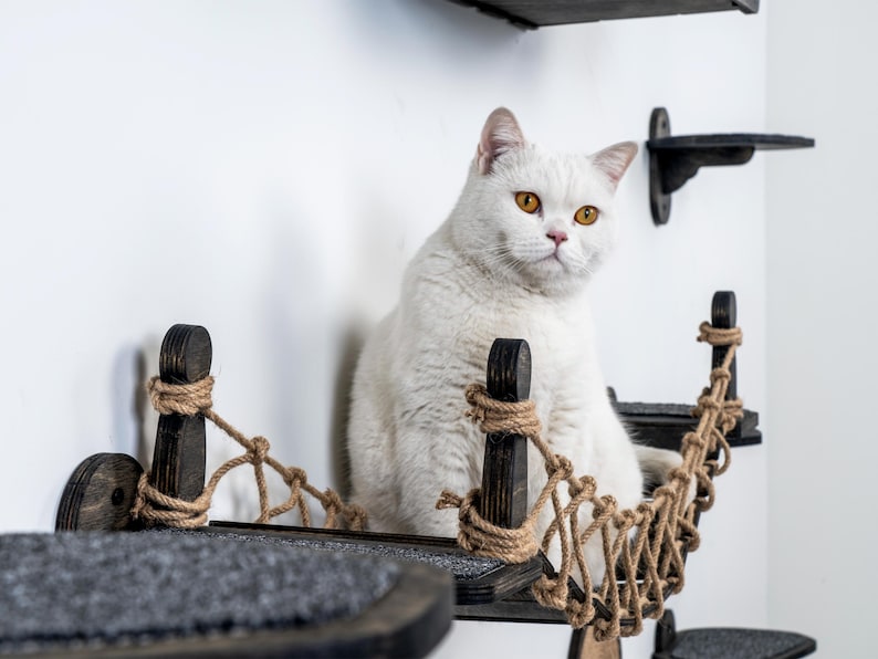 May include: A white cat with yellow eyes sits on a dark wooden cat bridge with rope detailing. The cat bridge is part of a wall-mounted cat furniture set. Additional dark wooden shelves are visible on the white wall.