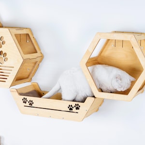 May include: Wooden cat furniture set with a hexagonal design. The set includes a cat bed and a climbing structure with paw print cutouts. A white cat is resting inside the cat bed. The furniture is mounted on a white wall.